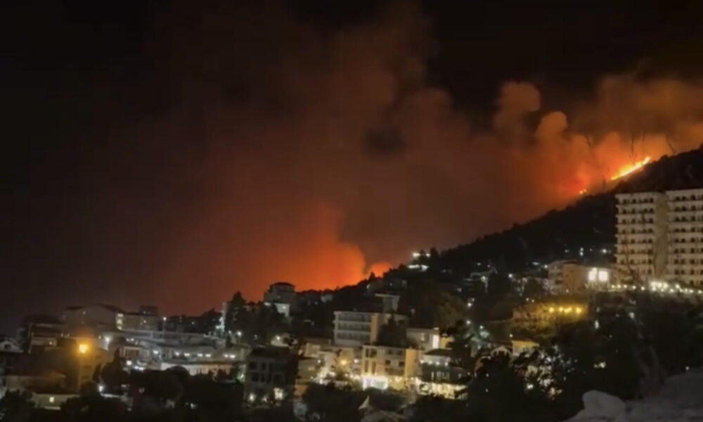 Zjarret e gushtit duhen luftuar në shkurt