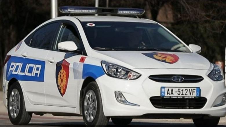 Arrestohen ish kreu i Kadastrës Fier dhe biznesmeni  dyshohen për falsifikim pronash në Seman