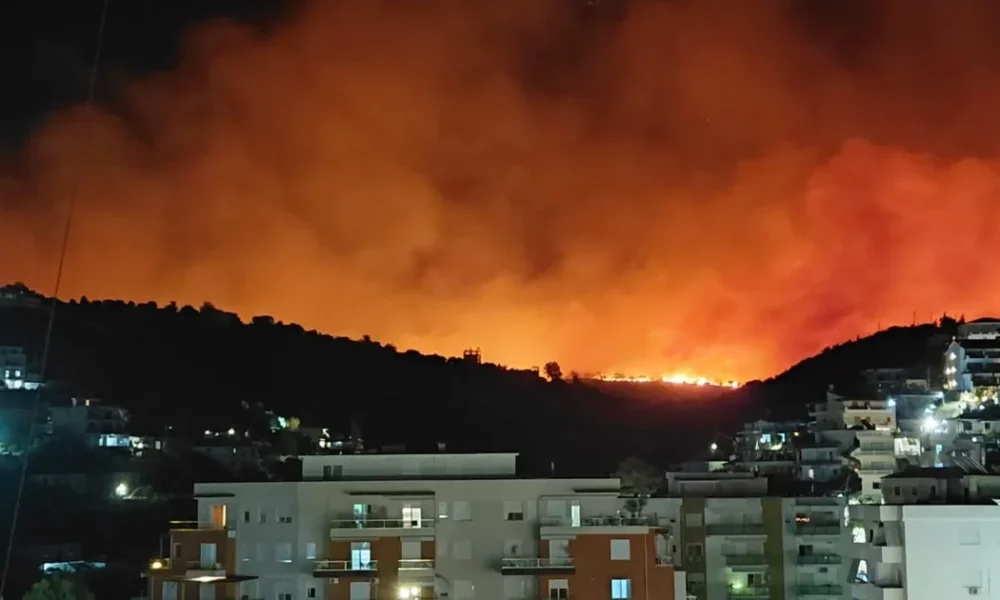 Zjarri në Himarë  shoqërohet në komisariat një person  dyshohet se i vuri flakën zonës