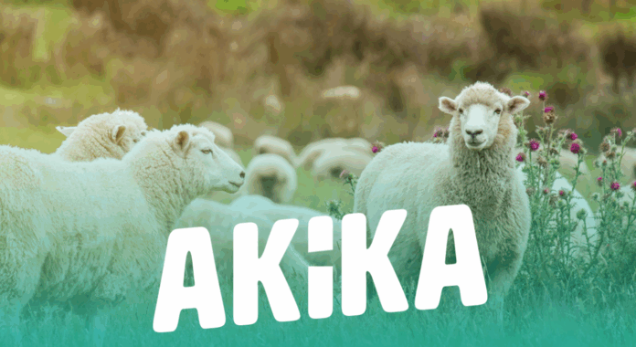 Statusi i akikës në Islam sipas dijetarëve hanefi