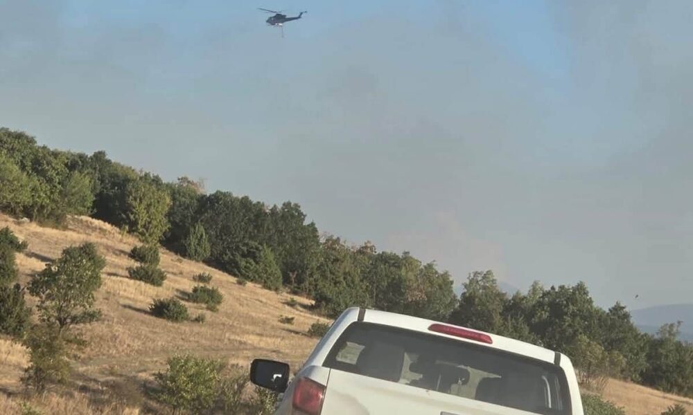 Kosova falënderon Maqedoninë për ndërhyrjen në shuarjen e zjarreve afër Hanit të Elezit