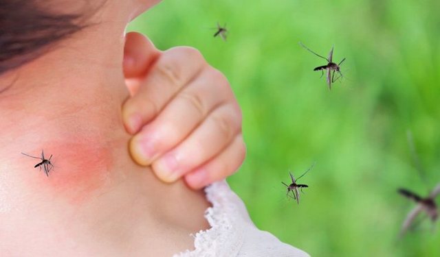 71 raste me ethe të Nilit Perëndimor  regjistrohet rasti i parë në Rosoman