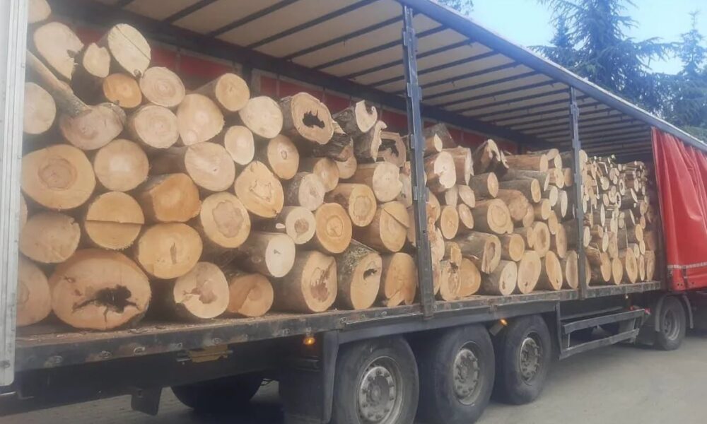 Goditje ndaj tregtisë së dyshimtë me dru  sekuestrohen 400 metra kub në Shkup
