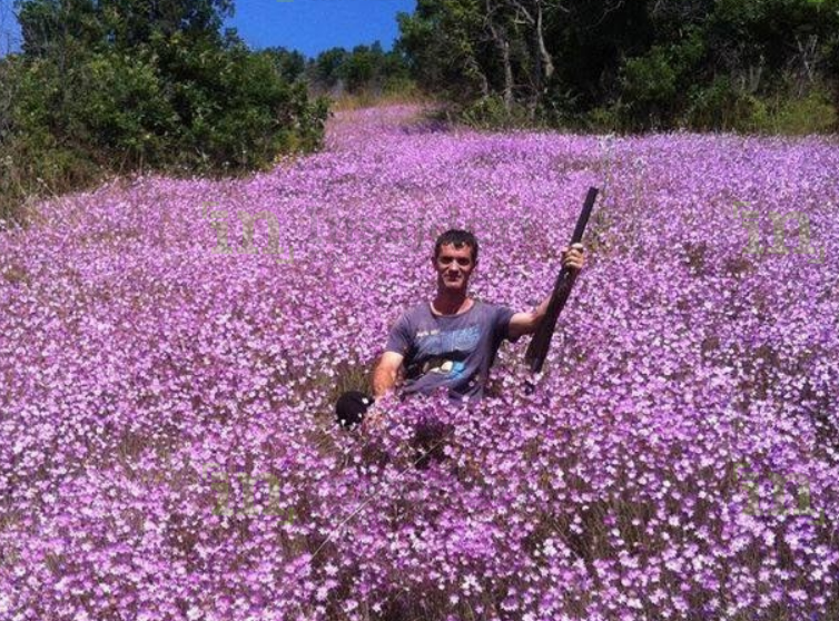 Vrasja në Pogragjë të Gjilanit  këta janë viktima dhe i dyshuari  Foto 